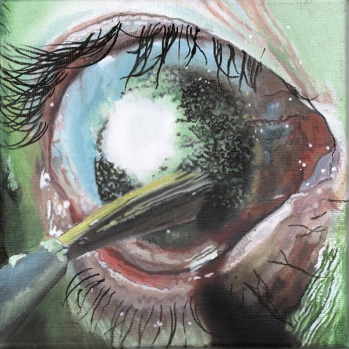 cadre-et-encadrement