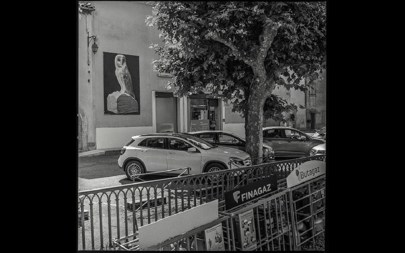 Mathieu Chiva - L'épicerie à Saïx - Photo / Frédéric Peyrié