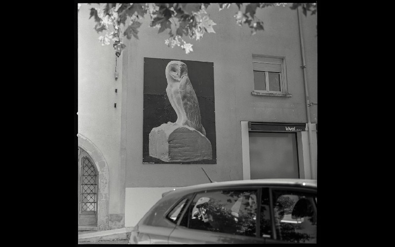 Mathieu Chiva - L'épicerie à Saïx - Photo / Frédéric Peyrié